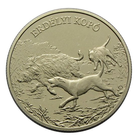 2023 3000 Forint erdélyi kopó