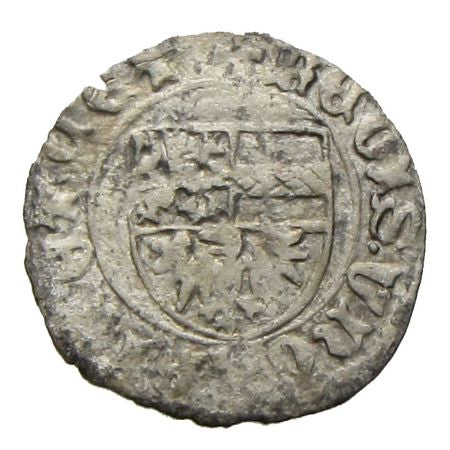 V. László denár ÉH 503