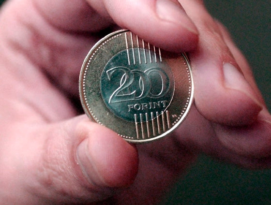 Rejtett értékek a forgalomban: Mely forint érmékért fizetnek többet a gyűjtők?