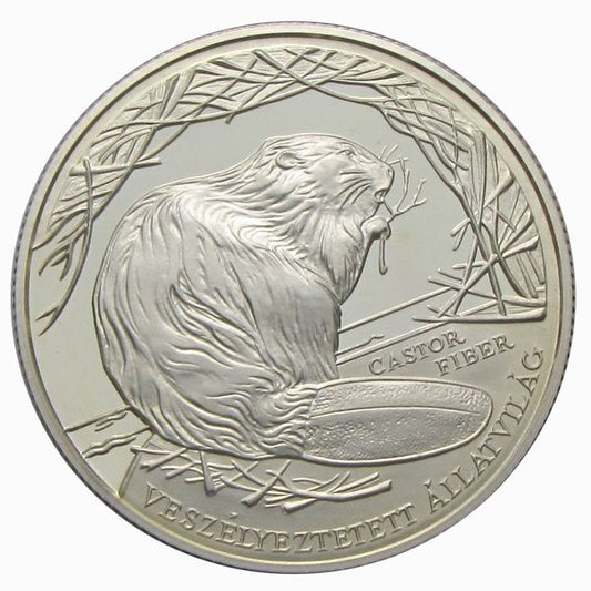2000 3000 Forint Hód PP