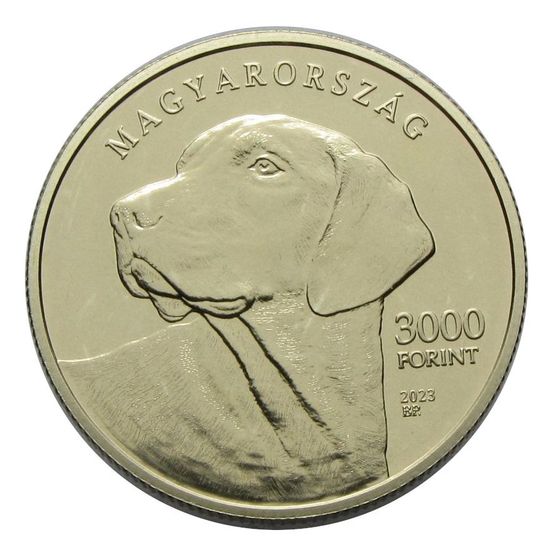 2023 3000 Forint erdélyi kopó