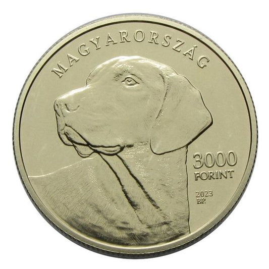 2023 3000 Forint erdélyi kopó