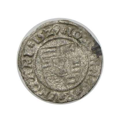 Szapolyai János denár ÉH 699w 1529 RA