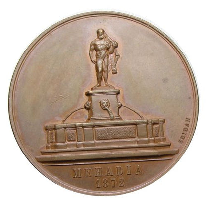 Magyar Orvosok és Természetvizsgálók 1872 Mehadia